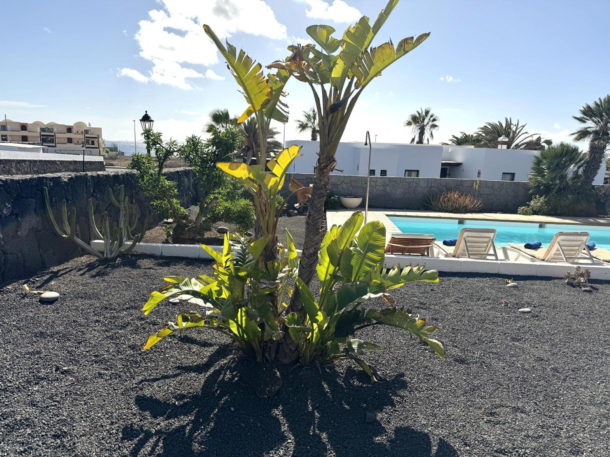 Villa Aguaviva Playa Blanca  Eksteriør billede